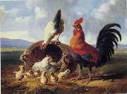 unknow artist Cocks 158 oil painting reproduction